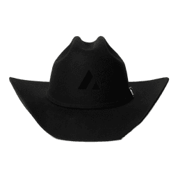 Acme 牛仔帽 - cowboy-hat-black-1