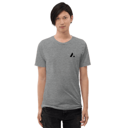 Acme T 恤 - t-shirt-color-gray